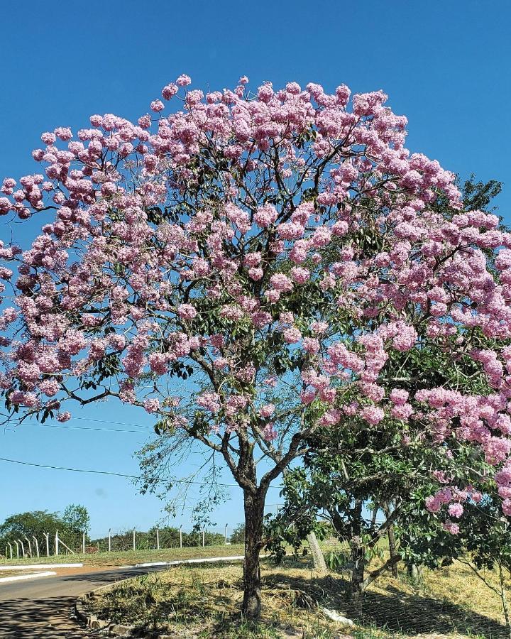 Hotel Pousada das Orquídeas Chapada dos Guimarães Exterior foto