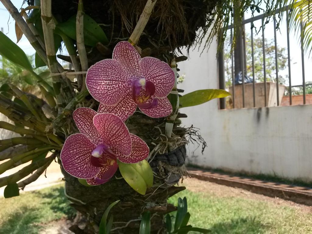 Pousada das Orquídeas Chapada dos Guimarães Exterior foto
